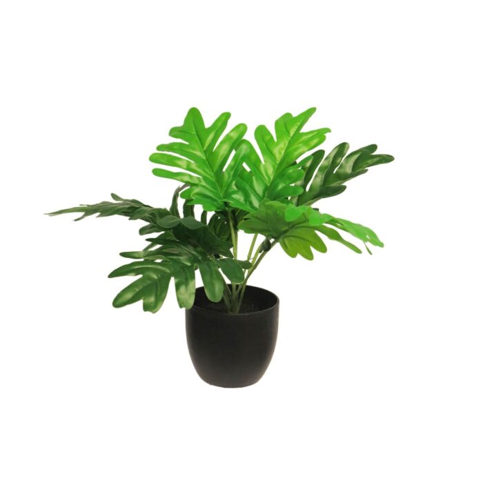 Plant Zijde Philodendron Xanadu groen 28