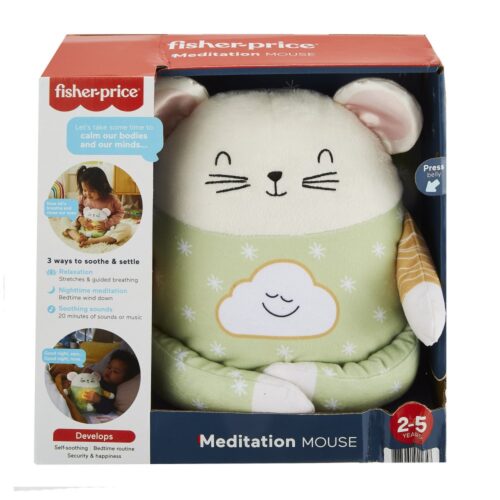Fisher Price Meditation Mouse NL