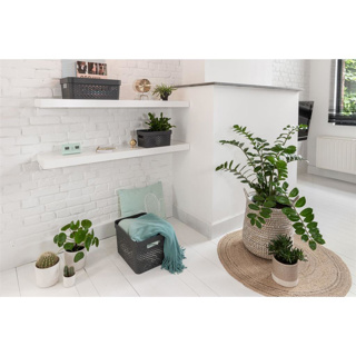 Curver Infinity Deksel 4,5 l antraciet - Afbeelding 3