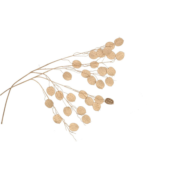 Kunsttak Silver dollar Oslo goud 71cm - Afbeelding 2