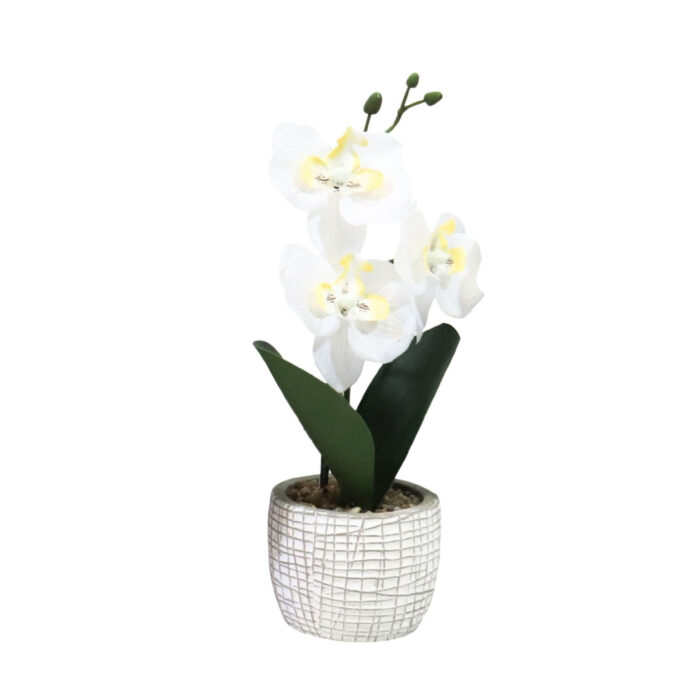 Kunst orchidee in pot 28 cm 6 assorti - Afbeelding 5