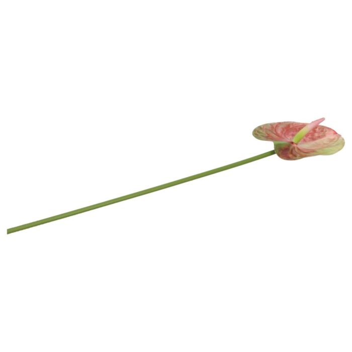 Kunstbloem anthurium 58 cm countryfield
