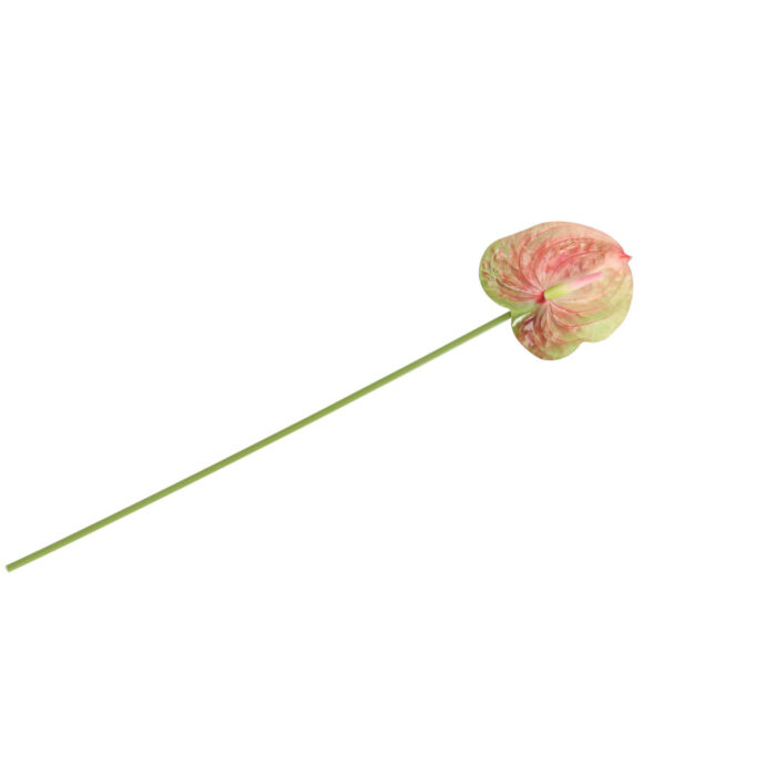 Kunstbloem anthurium 58 cm countryfield - Afbeelding 2