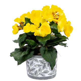 Pot Olea cylinder grijs 11 cm - Afbeelding 3