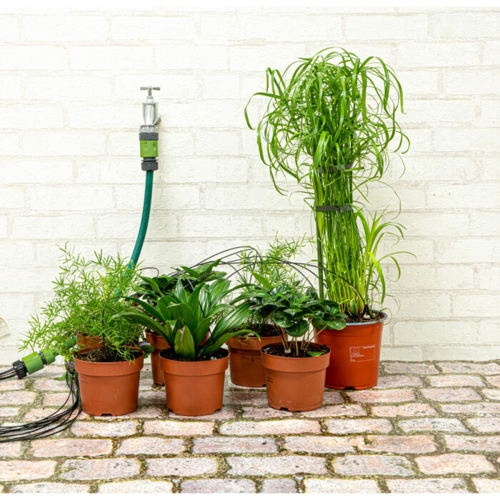 Druppelset voor bewatering 10st - Afbeelding 5