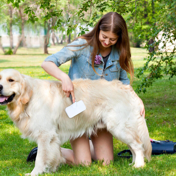 Huisdierenverzorgingsset 3 delig - Afbeelding 6