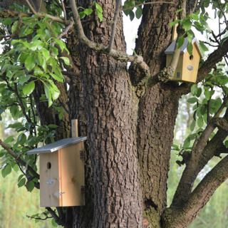 Nestkast groen - Afbeelding 5