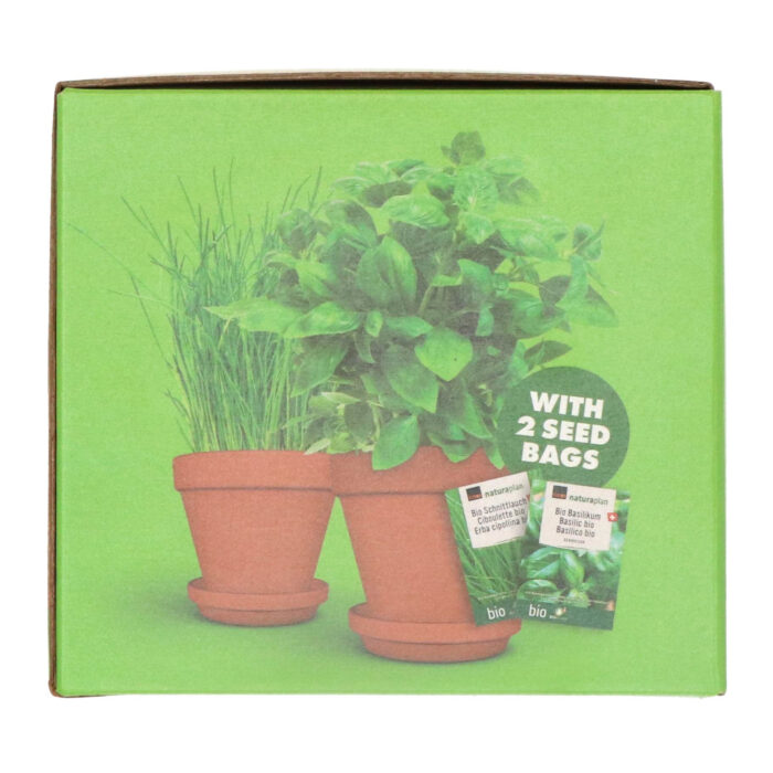 Terracotta potten met bieslook en basilicum zaden 13,5 cm - Afbeelding 3