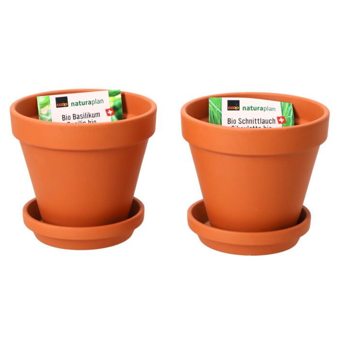 Terracotta potten met bieslook en basilicum zaden 13,5 cm - Afbeelding 5