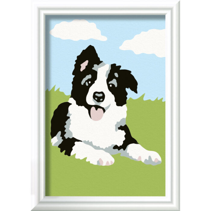 Ravensburger Creart schilderen op nummer border collie - Afbeelding 2