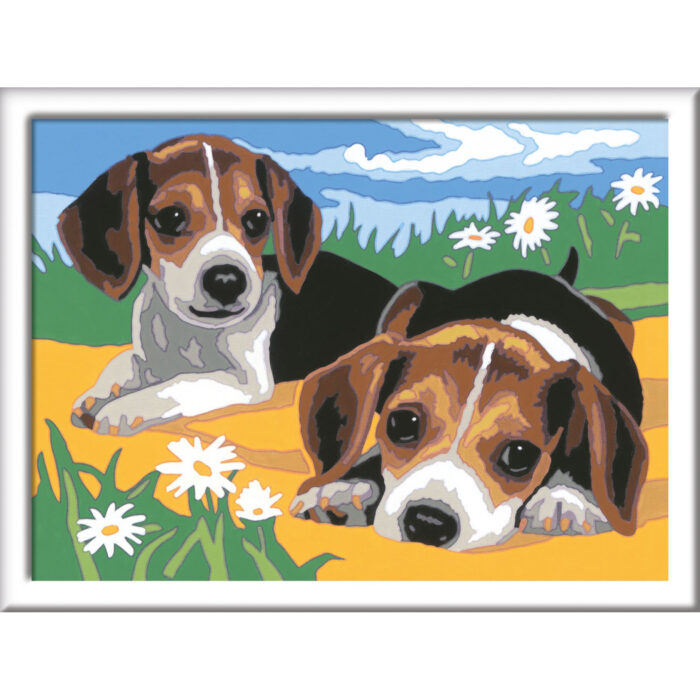 Ravensburger Creart schilderen op nummer Beagle puppies - Afbeelding 2