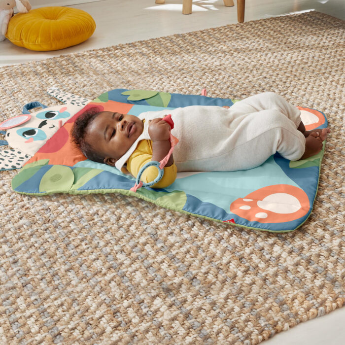 Fisher Price Roly Poly Panda Play Mat - Afbeelding 6