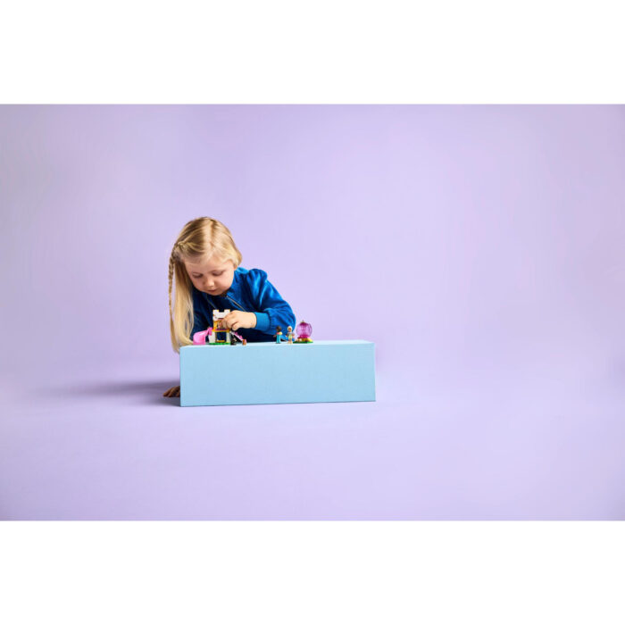 LEGO 42665 Friends Hondenspeeltuin - Afbeelding 6