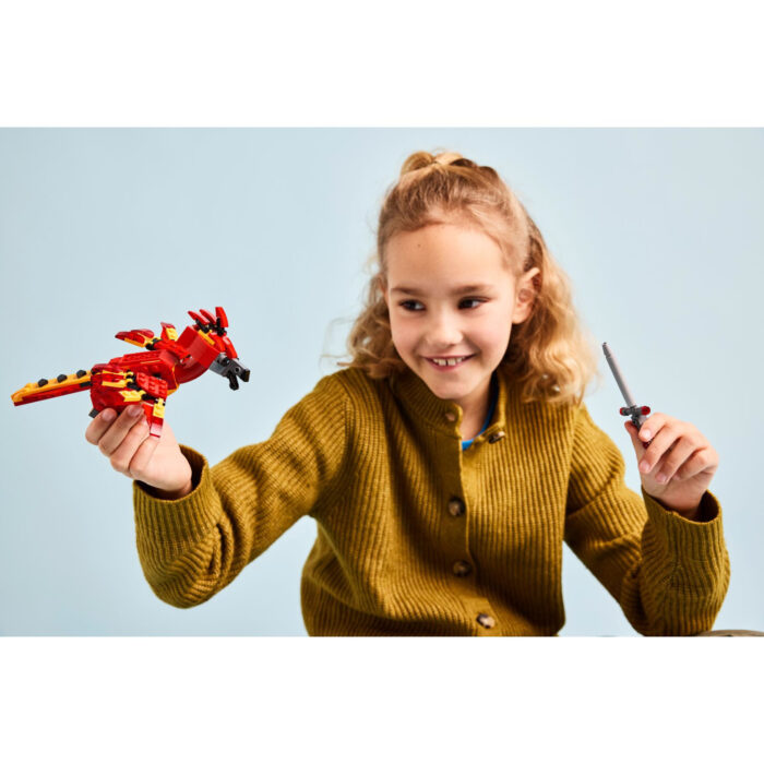 LEGO 76448 Harry Potter Felix De Feniks Van  Perkamentus - Afbeelding 4