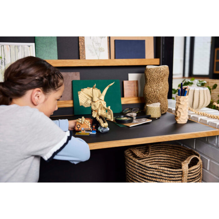 LEGO 76969 Jurassic World Dinosaurusfossielen: Triceratops schedel - Afbeelding 5