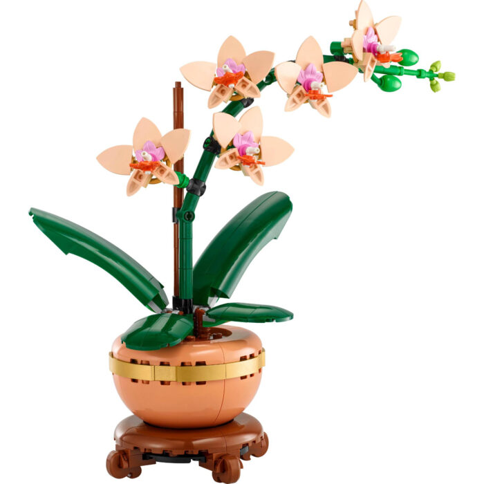 LEGO 10343 Botanicals Miniorchidee - Afbeelding 2
