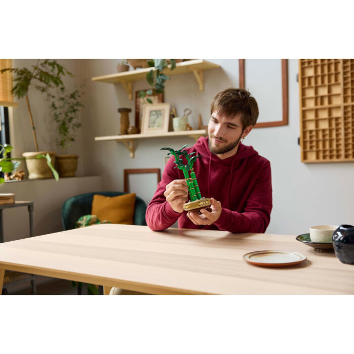 LEGO 10344 Botanicals Bamboe - Afbeelding 6