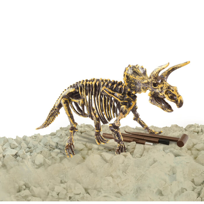 Dinobase Dino uitbikken Triceratops 3D set - Afbeelding 2