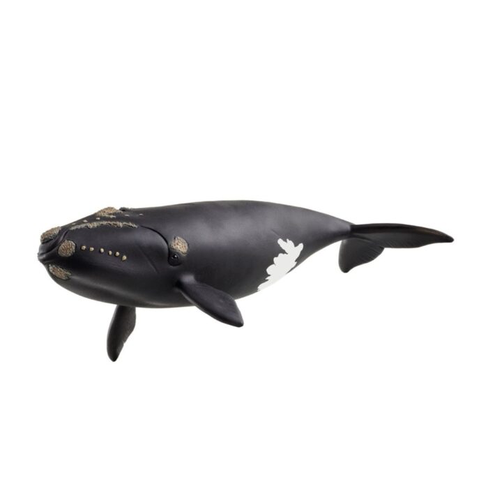 Schleich 14878 North Atlantic Right Whale