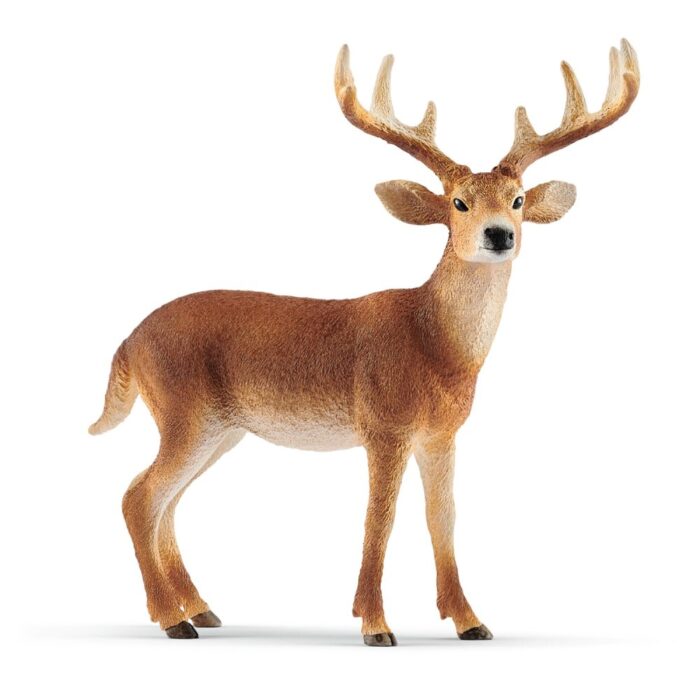 Schleich 14818 White-Tailed Buck