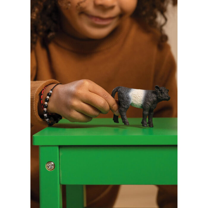 Schleich 13969 Galloway Kalf - Afbeelding 5