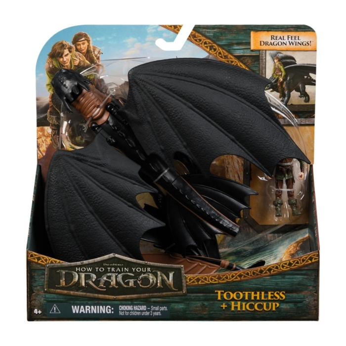 How To Train Your Dragon Dragon And Viking Toothless & Hiccup