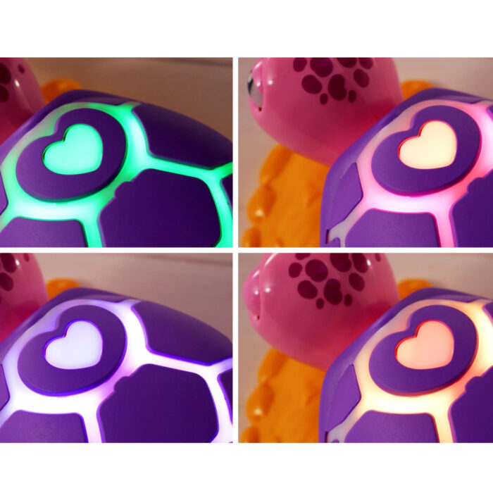 Reddings schildpad groen - Afbeelding 6