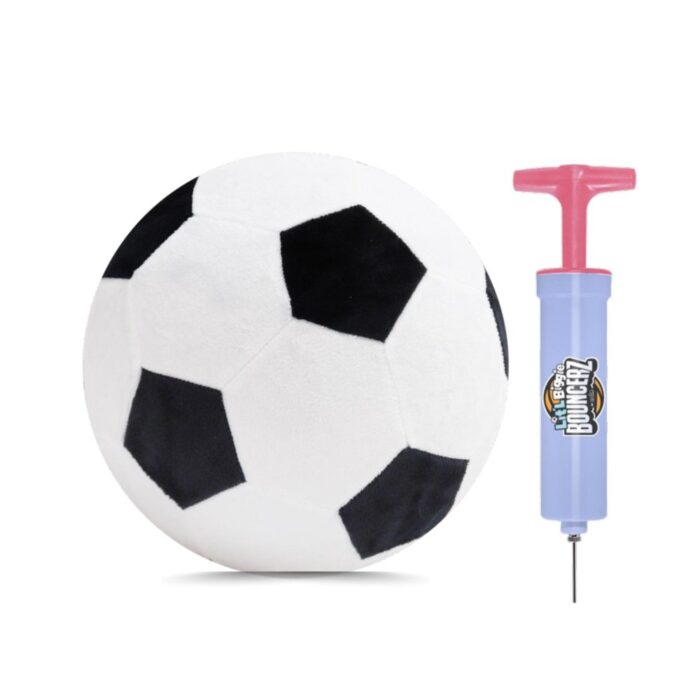 Lit'l biggie bouncerz soccer ball