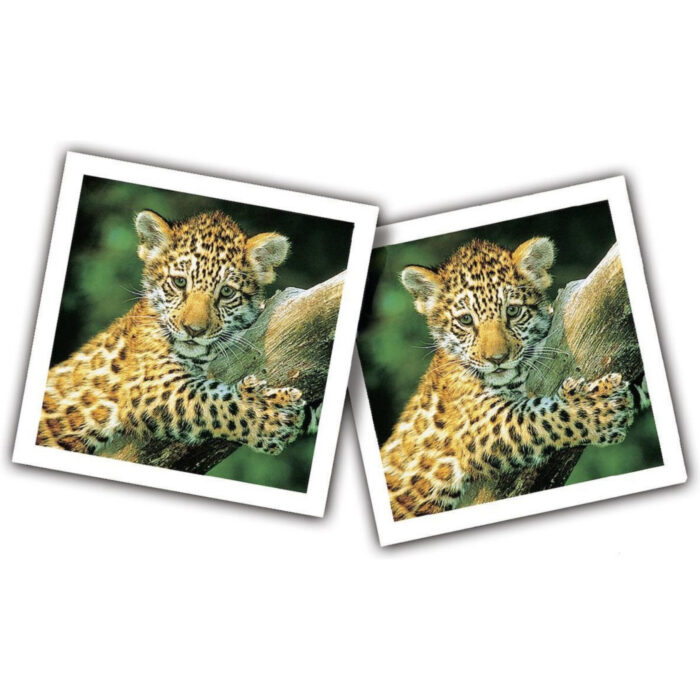 Ravensburger Memory Jonge Dieren Pocket - Afbeelding 4