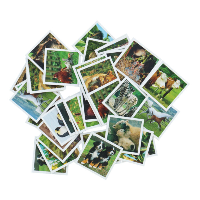 Ravensburger Memory Jonge Dieren Pocket - Afbeelding 5