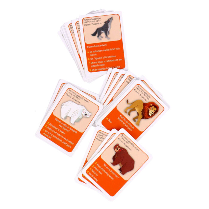 Spel Puzzel Ontdek De Wereld - Afbeelding 3