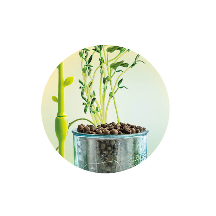 Clementoni wetenschap moestuin maken mini - Afbeelding 7