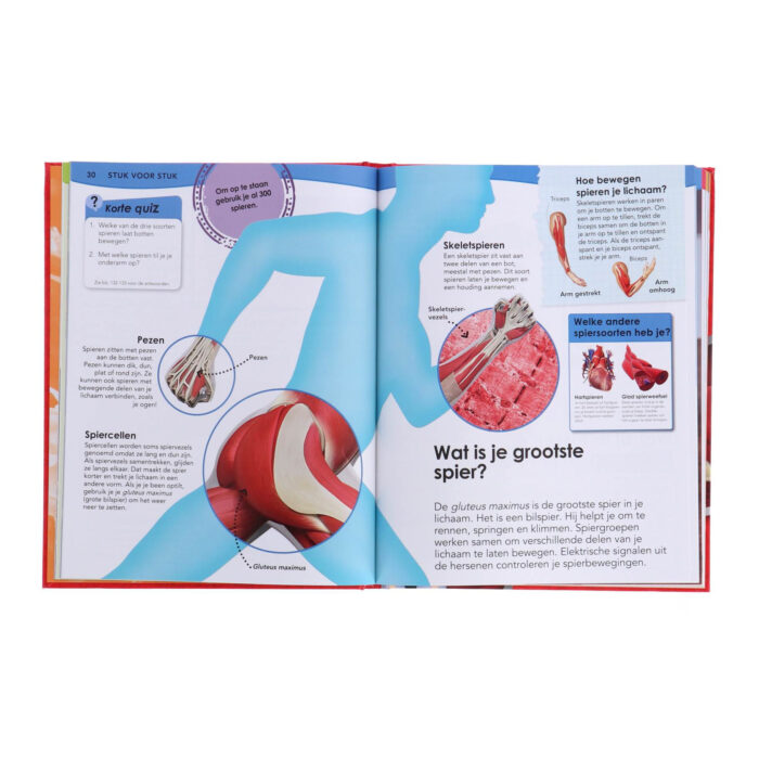 Boek Waarom - Grote Encyclopedie Over je Lichaam - Afbeelding 3
