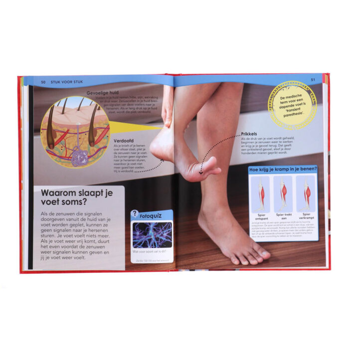 Boek Waarom - Grote Encyclopedie Over je Lichaam - Afbeelding 4