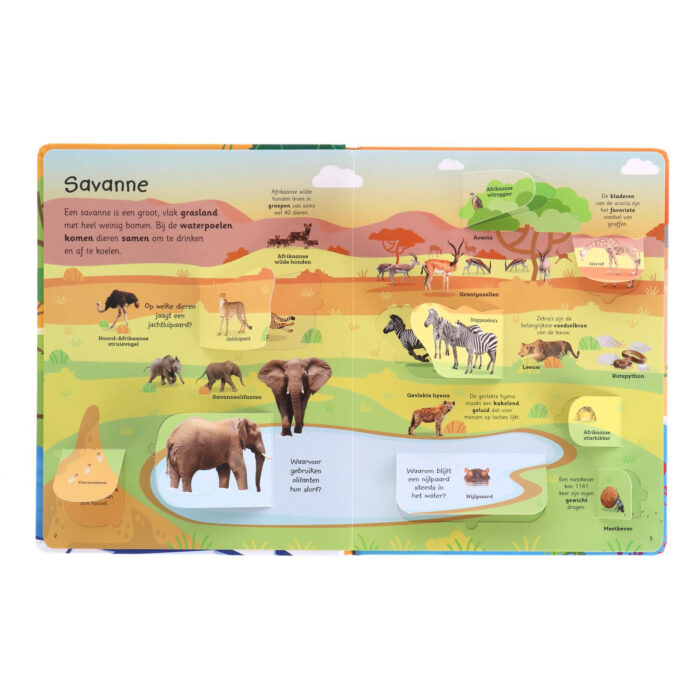 Boek Mijn Grote Flapjesboek Van Alle Dieren - Afbeelding 3