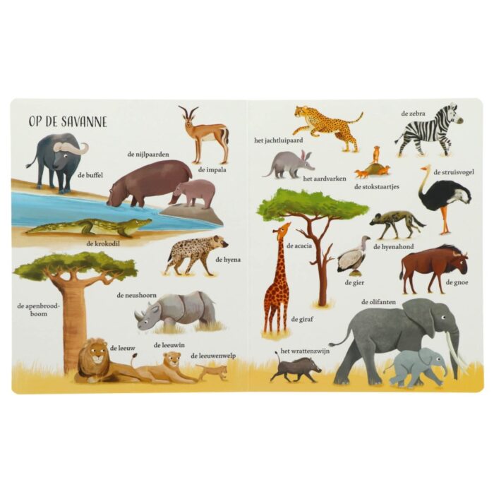 Boek Mijn Grote Dierenboek