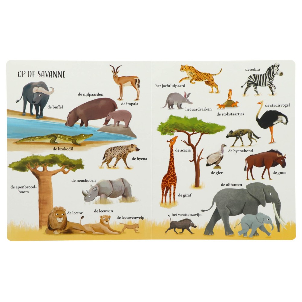 Boek Mijn Grote Dierenboek