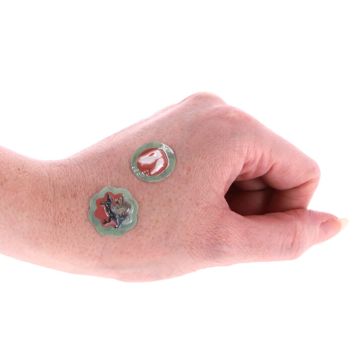 Stickerset Dinosaurus 500-Delig - Afbeelding 5