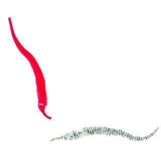 Magic Twisty Wild Life Assorti - Afbeelding 5