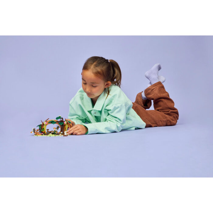 LEGO 75687 Wicked Elphaba's schuilhut - Afbeelding 4