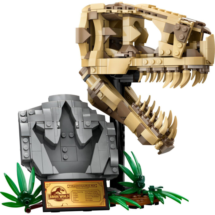 LEGO 76964 Jurassic World Dinosaurusfossielen: T. rex schedel - Afbeelding 2