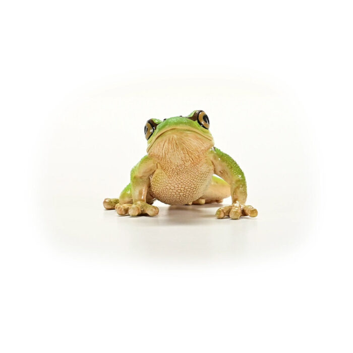Schleich 14882 European Tree Frog - Afbeelding 4
