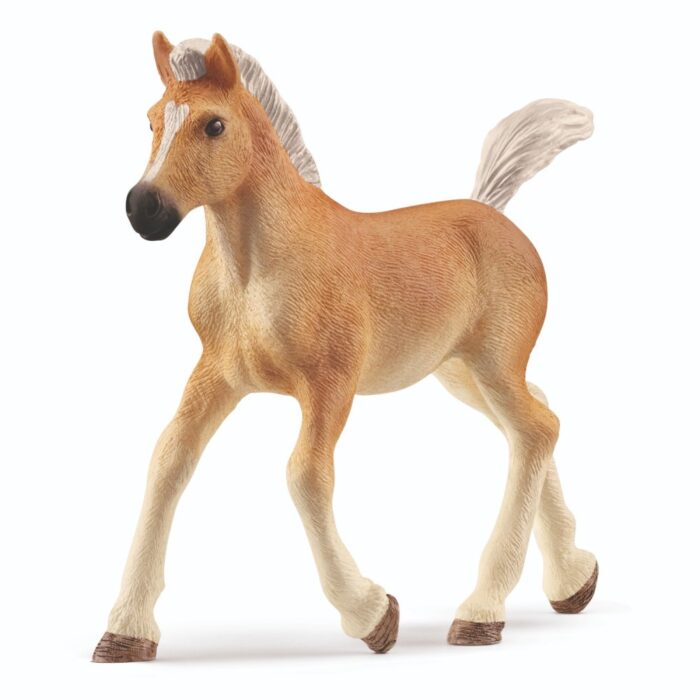 Schleich 13951 Haflinger Veulen