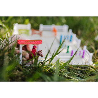 Horse Academy - Denkspel - Afbeelding 5