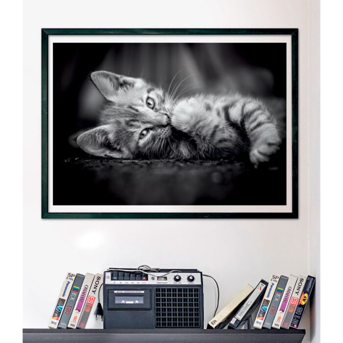 Clementoni Puzzel 1000 stuks kitten compact - Afbeelding 4