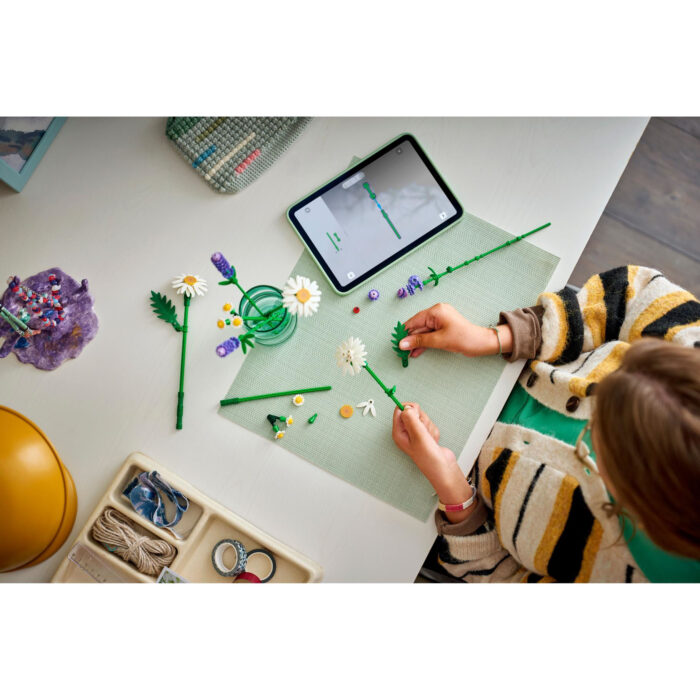 LEGO 11508 Botanicals Madeliefjes - Afbeelding 3