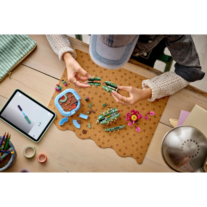 LEGO 11509 Botanicals Bloeiende cactus - Afbeelding 3