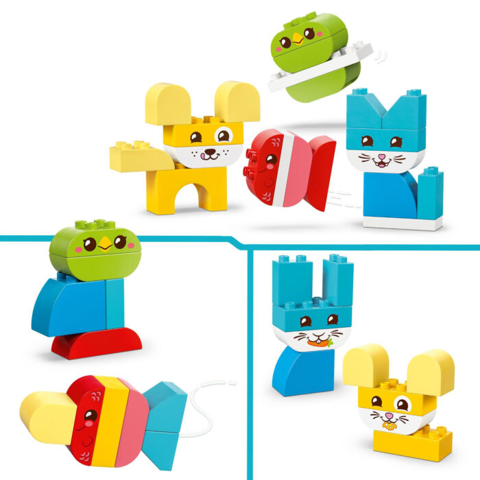 LEGO 10477 Duplo Creatieve Huisdieren 3 In 1 - Afbeelding 2
