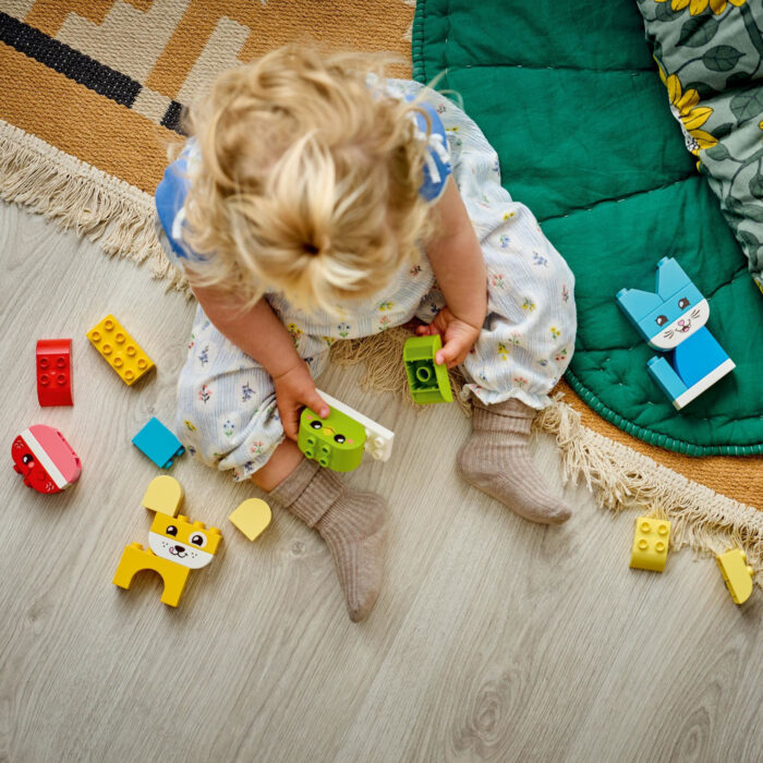 LEGO 10477 Duplo Creatieve Huisdieren 3 In 1 - Afbeelding 3