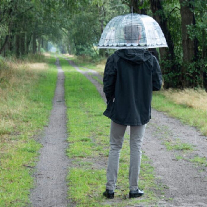 Esschert Design paraplu vogelkooi transparant - Afbeelding 5